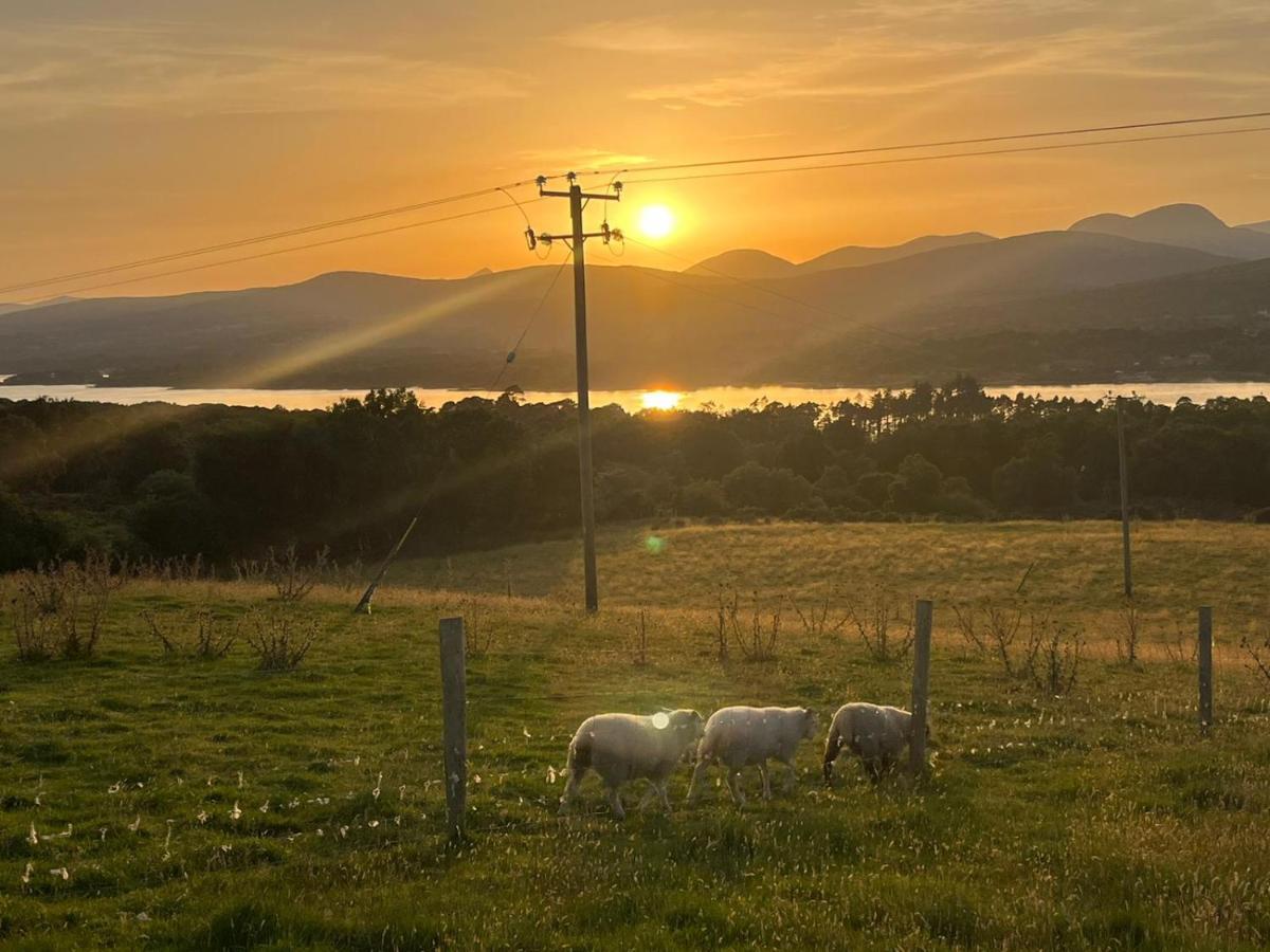 Oaklane Glamping Cabins Kenmare Exterior photo